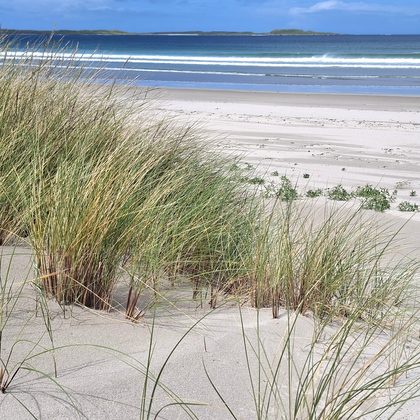 Duinen en zandstranden
