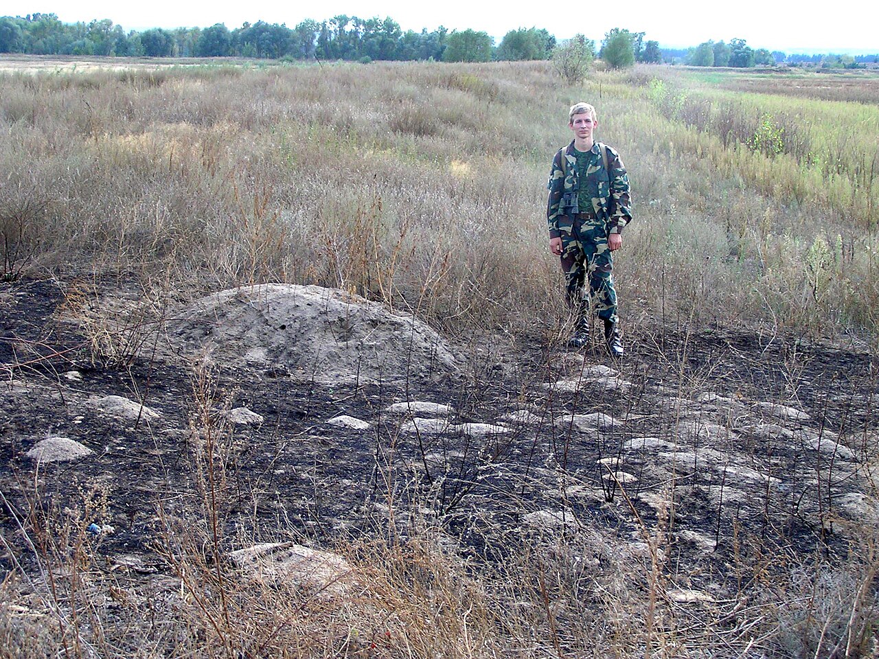 Steppemuis, verse aardhoop in de oekraïense steppe, met een man ernaast als maat: ruim een meter breed en een halve meter hoog, op een afgebrand perceel goed zichtbaar